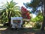 0004 Olmeto plage